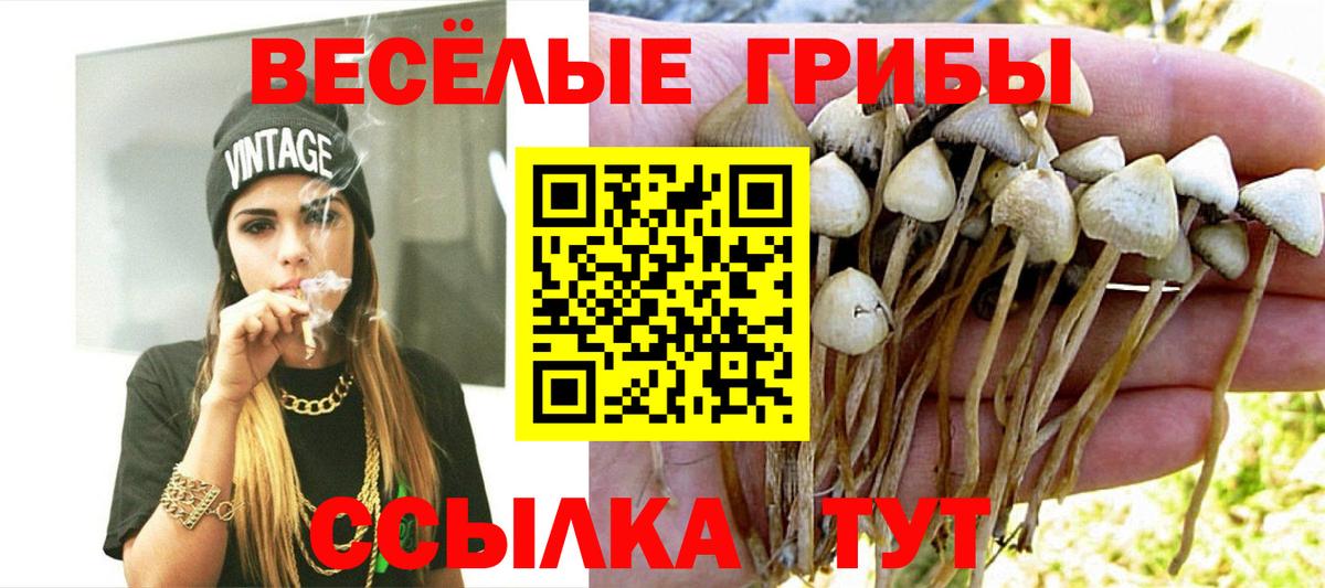 Осинники  Галлюциногенные грибы MAGIC MUSHROOMS  Псилоцибиновые грибы Cubensis  Вход с VPN 
